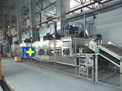 Single-layer Belt Dryer