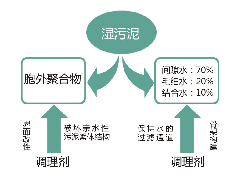 Modified conditioning cooperates with mechanical filter press dehydration process