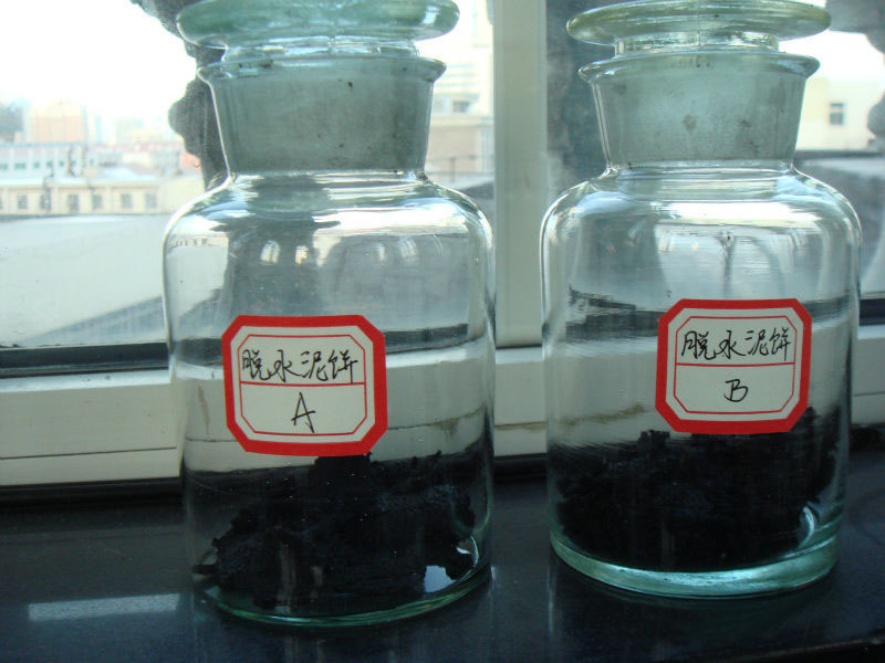 Mechanism of sludge carbonization